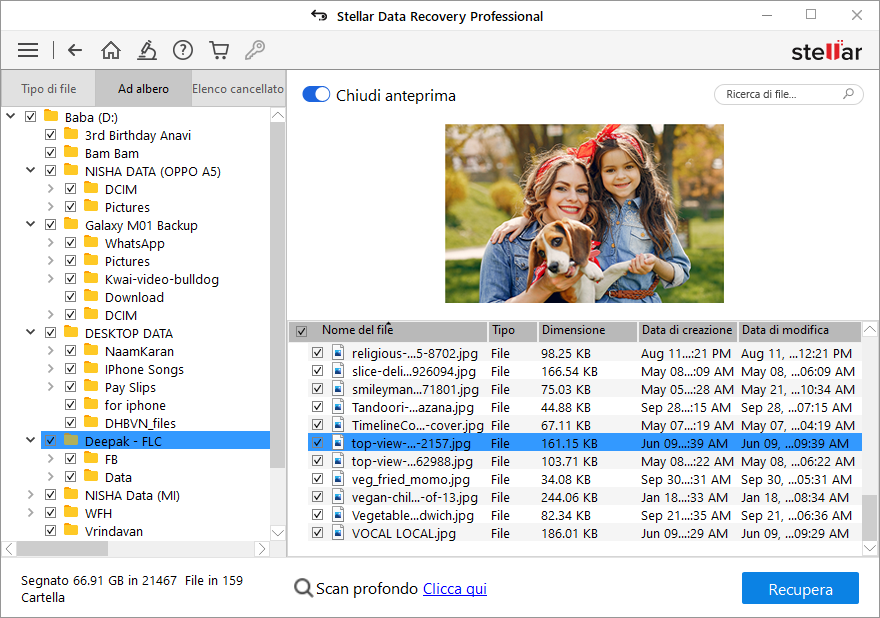 Scansiona e recupera