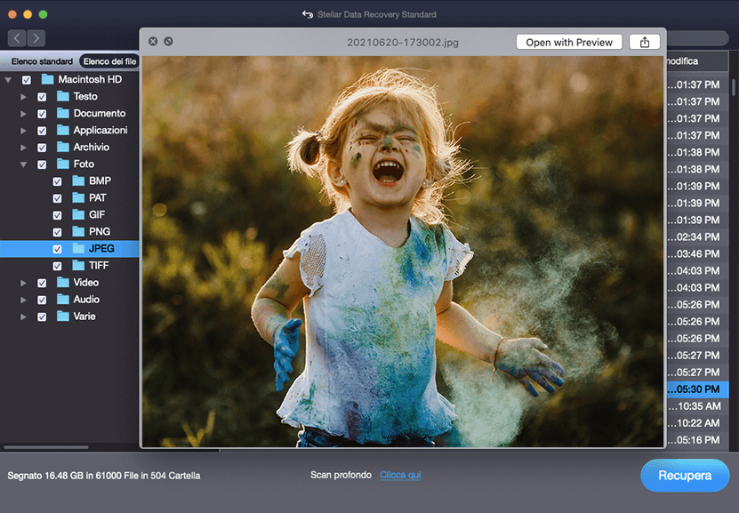 维迪的前体复原