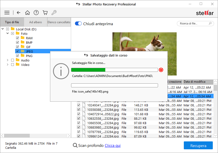 Anteprima e recupera