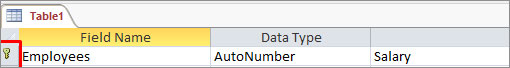 Key Indicates Primary Key