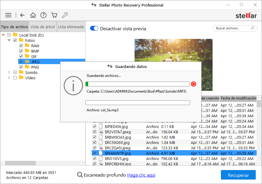 Vista初步版Recuperación